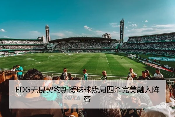 EDG无畏契约新援球球残局四杀完美融入阵容